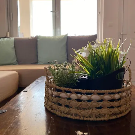 公寓 Dimitra's Maisonette At Rafaella